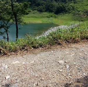 Meet your Posher, Gabriel emanuel